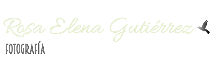 Rosa Elena Gutiérrez Fotografia